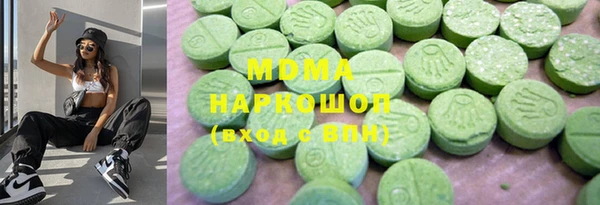 индика Заводоуковск