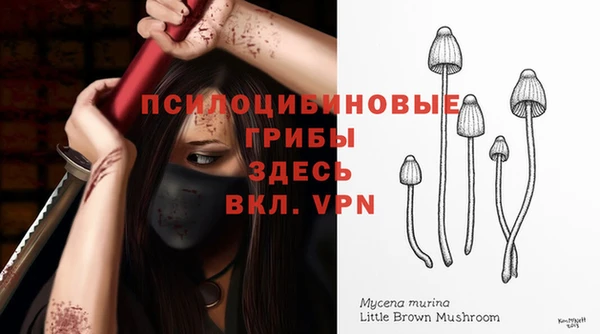 ПСИЛОЦИБИНОВЫЕ ГРИБЫ Зеленодольск