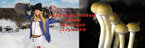 ПСИЛОЦИБИНОВЫЕ ГРИБЫ Зеленодольск