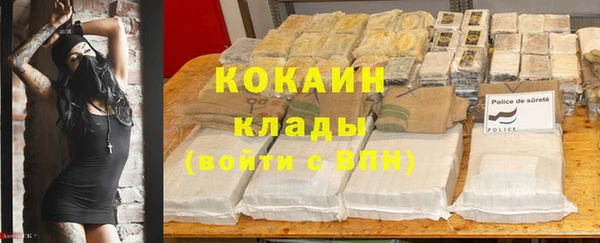 ПСИЛОЦИБИНОВЫЕ ГРИБЫ Зеленодольск