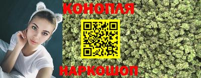 a pvp Новокубанск